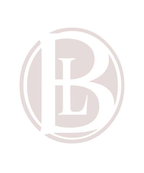 Logo of The Bellon Law Group